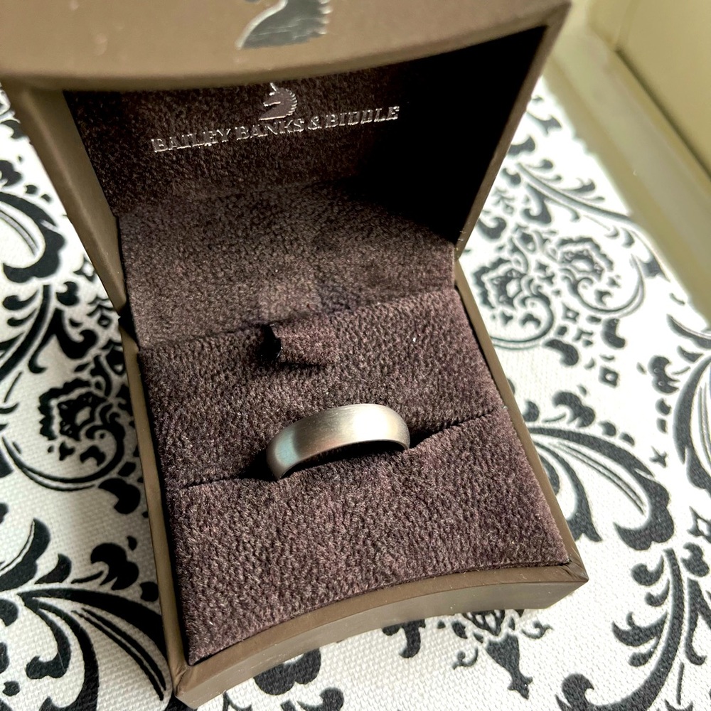 Men’s Palladium Wedding Band